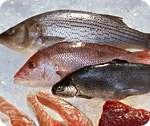 Seafood-Fish