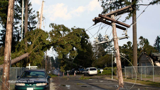 Storm-Damage-Power-Lines
